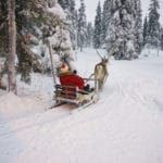 Lapland-Holiday-Experience-2