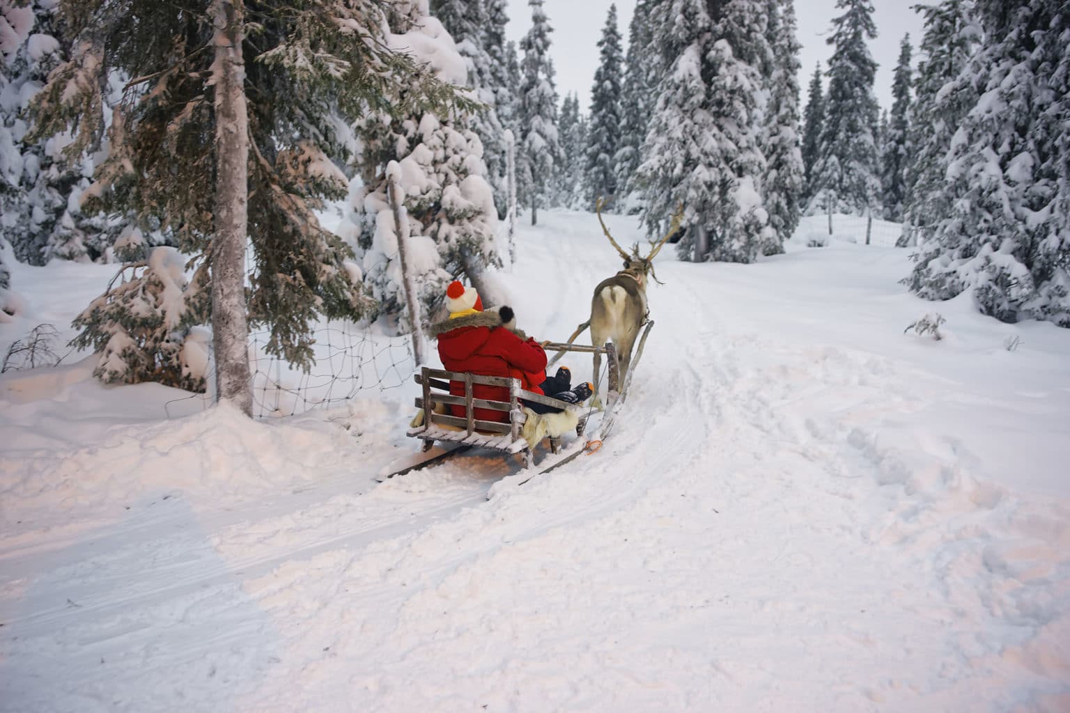 Lapland-Holiday-Experience-2