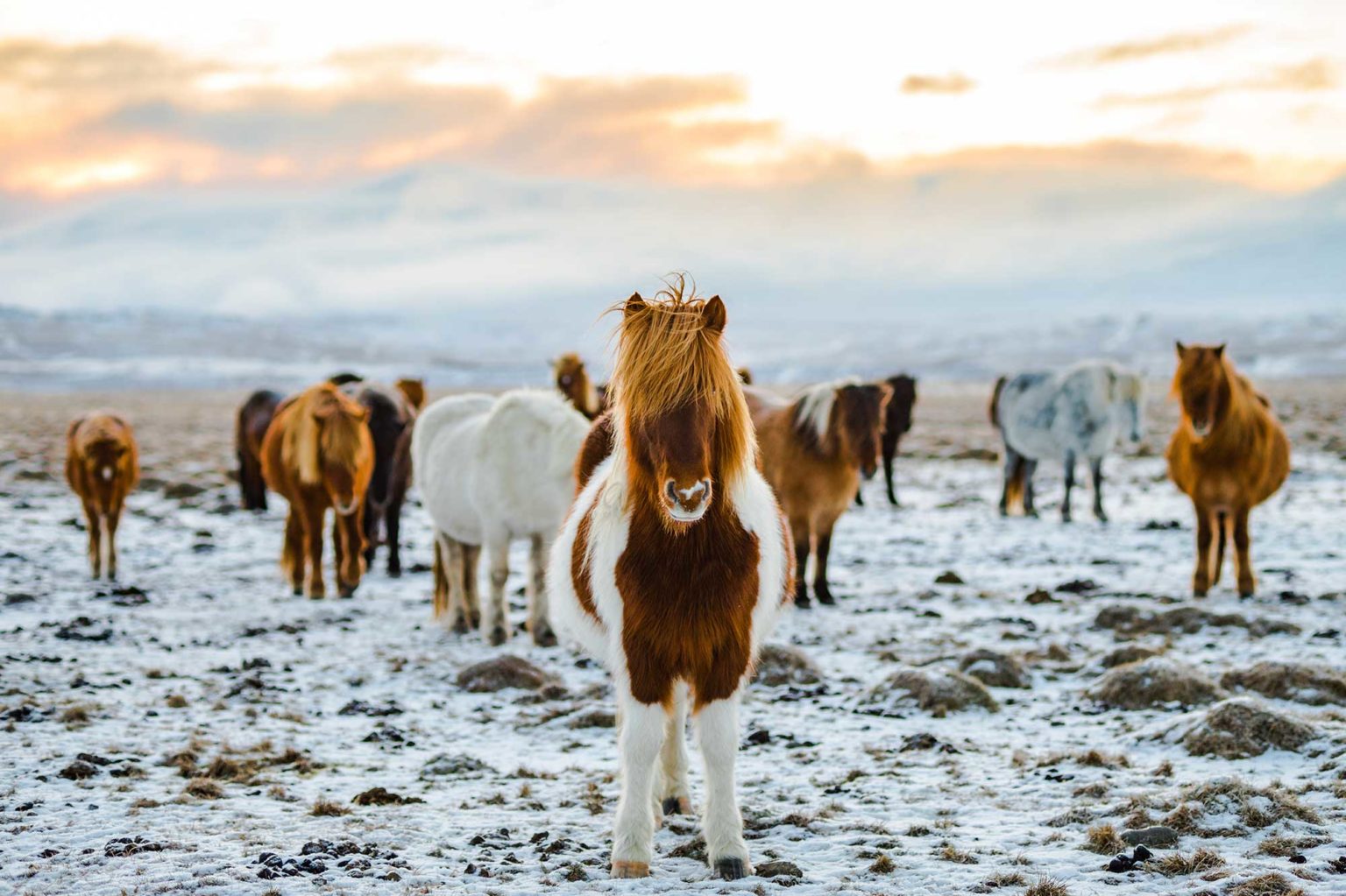 Iceland-winter-(10)-Holiday