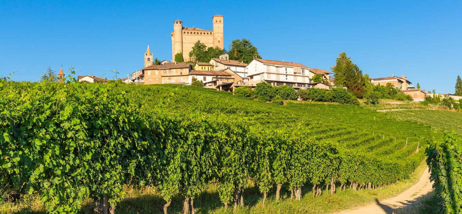 Truffle Hunting (1)-Italy-Holiday