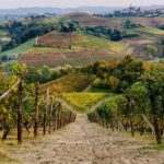 Truffle-Hunting-(7)-Italy-Holiday