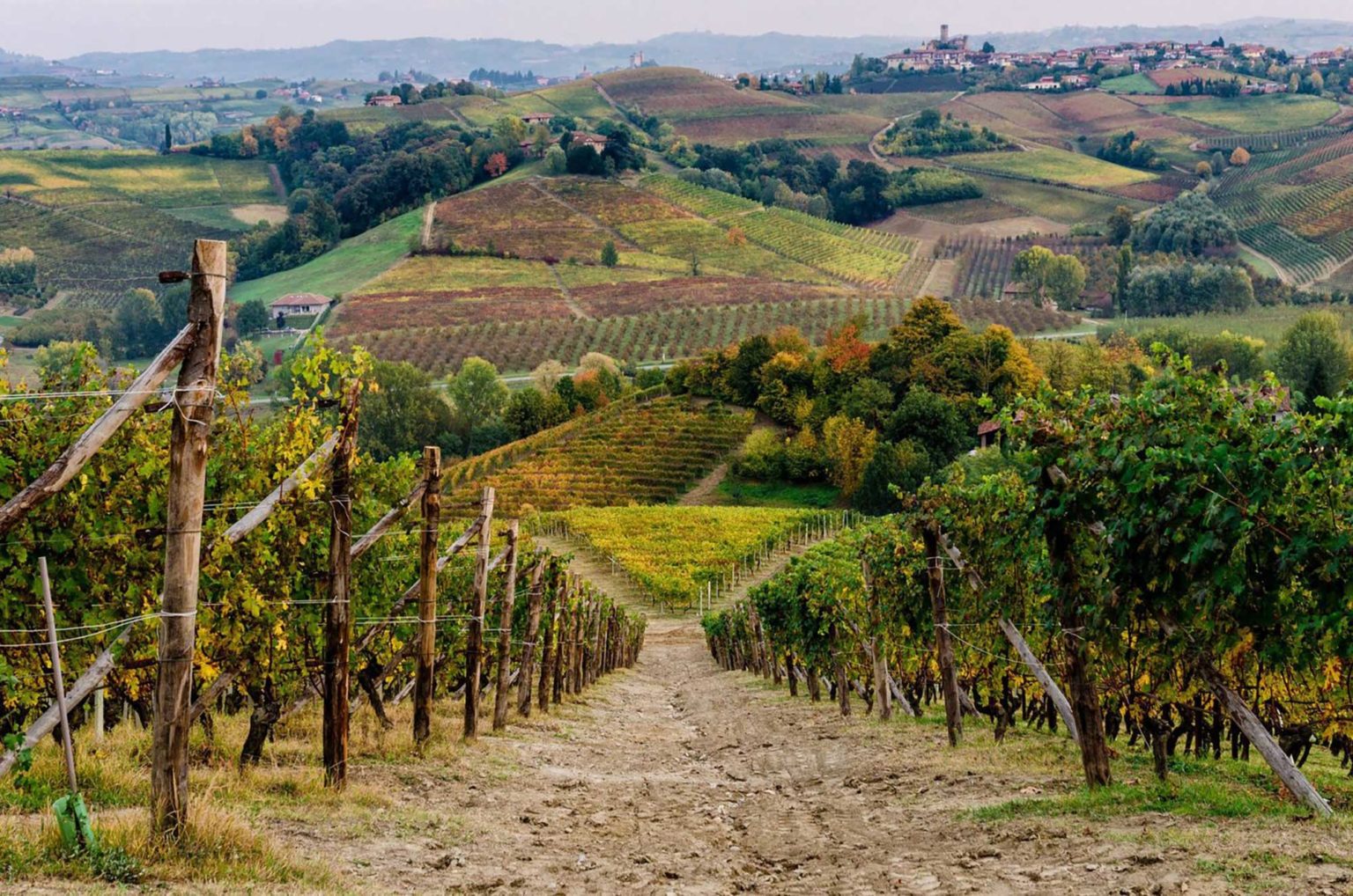 Truffle-Hunting-(7)-Italy-Holiday