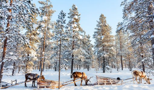 Lapland-Holiday-Experience-1