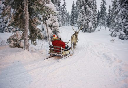Lapland-Holiday-Experience-2