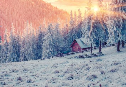 Lapland-Holiday-Experience-7
