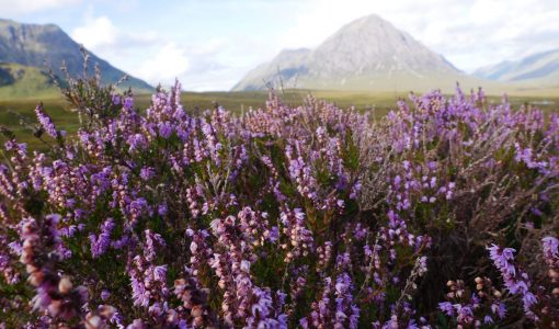 Scotland-Holiday-Highland-Spring