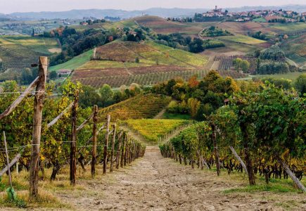 Truffle-Hunting-(7)-Italy-Holiday